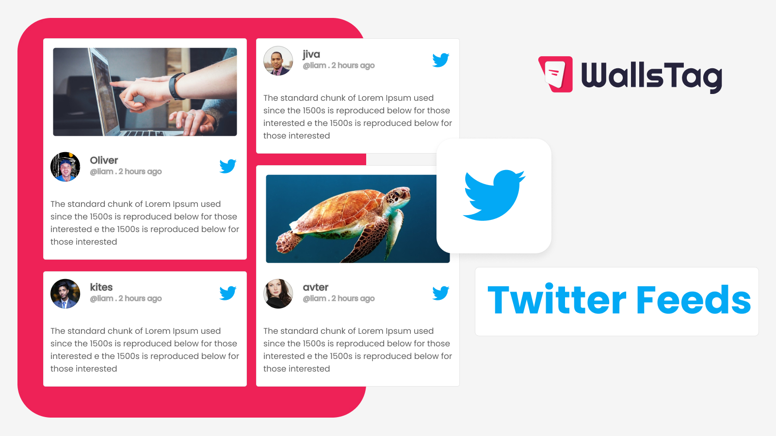 What Are The Different Types Of Social Wall Examples And How Can They 